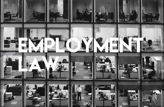 Employment Solicitors Legal Advice Tips